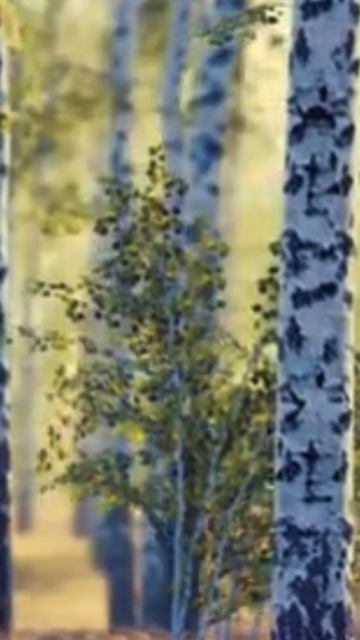 Посажу березу. Помочь СВО **Полный текст песни:**