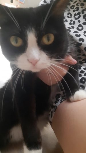 Я ПОПАОДМЛДУЛВРЫДУРОВОВЛ