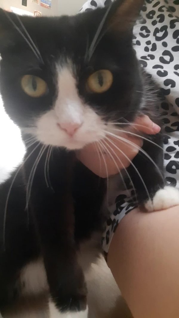 Я ПОПАОДМЛДУЛВРЫДУРОВОВЛ