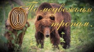 По медвежьим тропам с металлодетектором. Жара и редкая находка!