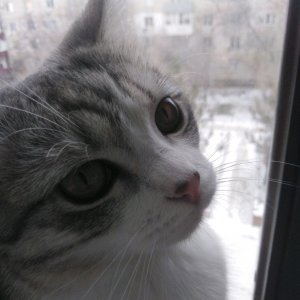 Мой первый прямой эфир!