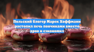 Польский блогер из-за высоких цен на дрова начал обогревать дом пончиками