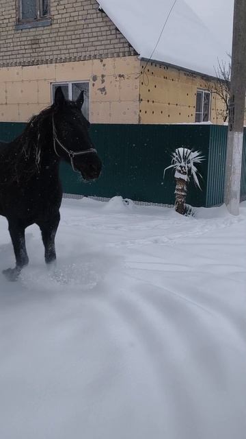 1000425398.mp4 смотреть онлайн