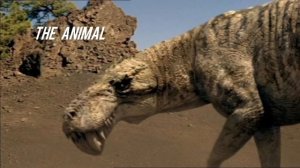 Disturbed - The Animal