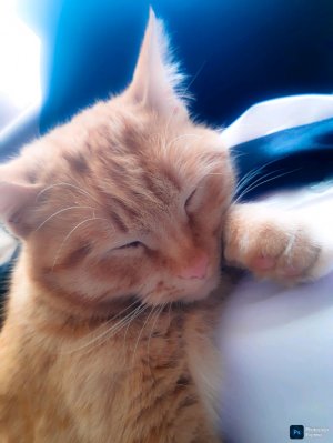 полю некотырые фрагменты из песня