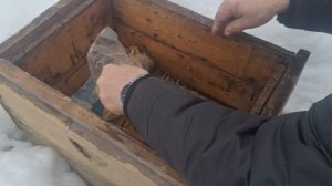 Нужна ли помощь пчелам перед похолоданием?