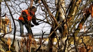 Уборка снега с крыши