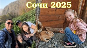 Чай Мацеста, Ривьера и Дендрарий в Сочи поздней осенью 2025г.
