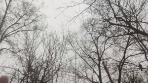 14 февраля всю ночь шел дождь ☔ волшебник на улице дождь ☔  остановлен.