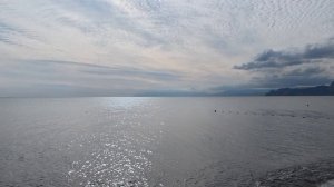 Бархатный Меганом