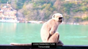 Как лучше закрыть задолженость