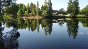 АРХИВ 19-Й ГОД. РЫБАЛКА НА КАРАСЯ.