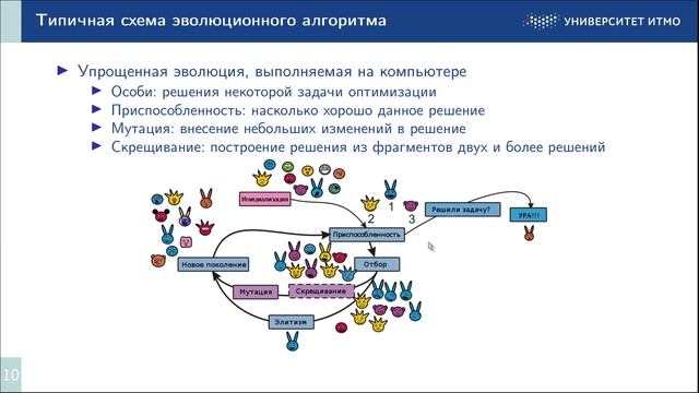 1_2 Основная терминология, принципы и механизмы работы эволюционных алгоритмов