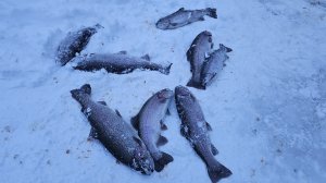 Зимняя рыбалка.mp4