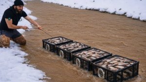 Я поймал 50 кг рыбы используя пластиковые ящики.