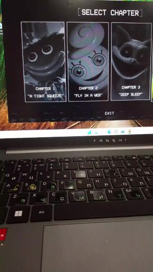 играю на ноутбуке