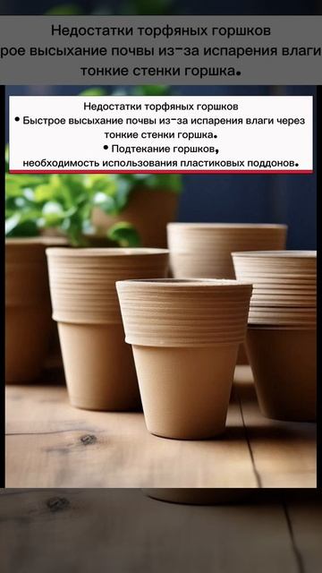Торфяные горшки плюсы и минусы смотреть онлайн