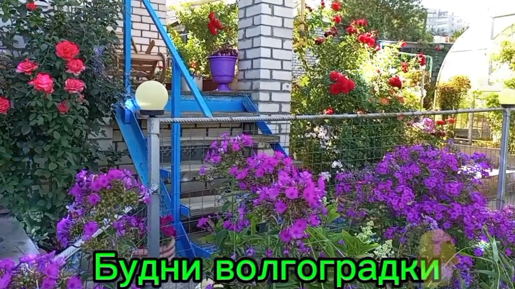 14.02.2026. Кое-что уже взошло. Что купила для сада. смотреть онлайн