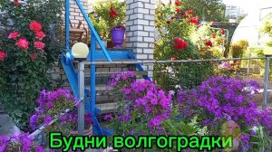 14.02.2026. Кое-что уже взошло. Что купила для сада.