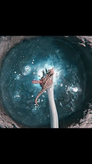 🍿 Удивительная планета с невероятными созданиями