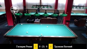 Гаспарян Роман Владимирович и Трушкин Евгений Васильевич