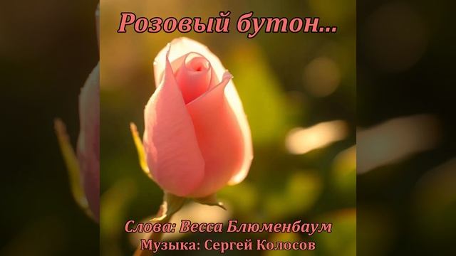 Розовый бутон...(Слова Вессы Блюменбаум) смотреть онлайн
