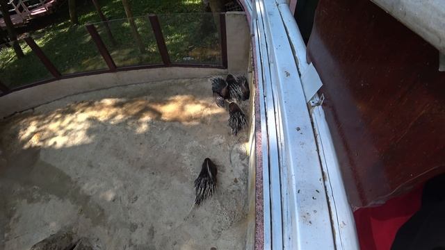 Китай. Хайнань. Санья. Стоит ли ехать? Зимнее путешествие смотреть онлайн