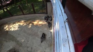 Китай. Хайнань. Санья. Стоит ли ехать? Зимнее путешествие