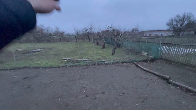 Большой полёт идей: что ждёт наш птичий вольер в 2026-м?