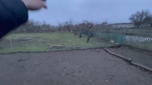 Большой полёт идей: что ждёт наш птичий вольер в 2026-м?