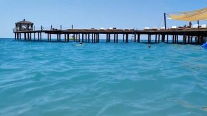 Море 2024 г..mp4