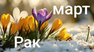 Таро расклад для Раков на март 2026 года