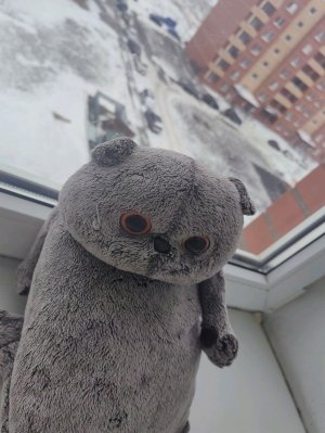 я буду сегодня играть.