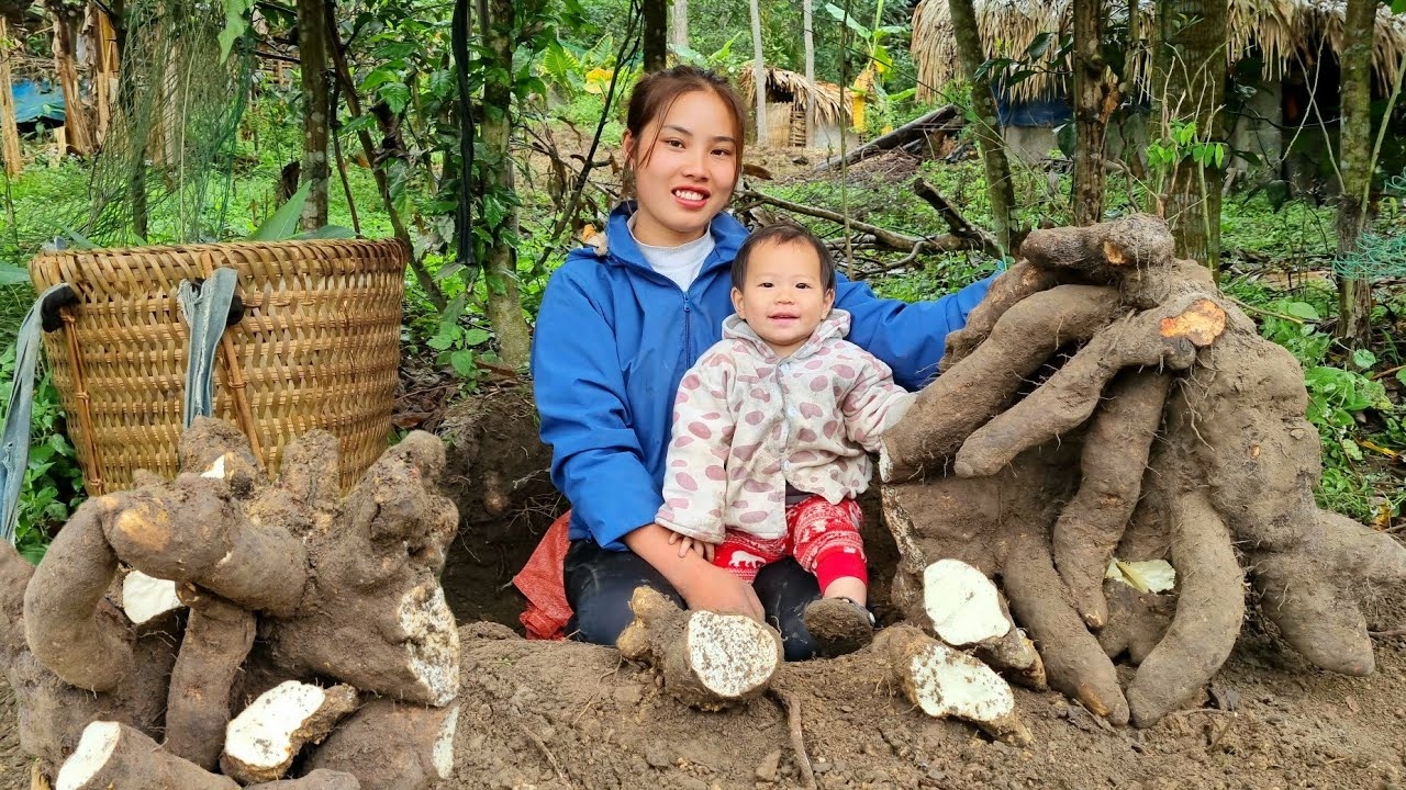 Мама поневоле. Дуонг. Собираю батат вместе со своим ребенком. Готовлю маниоку на обед. Серия 51 смотреть онлайн