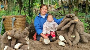 Мама поневоле. Дуонг. Собираю батат вместе со своим ребенком. Готовлю маниоку на обед. Серия 51