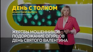День с Толком 14.02.2026 Итоги