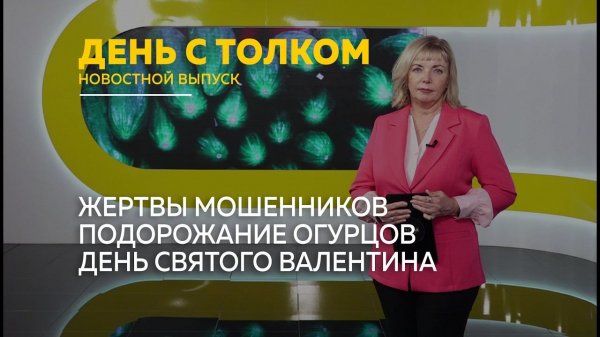 День с Толком 14.02.2026 Итоги