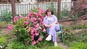 Роза Ангела