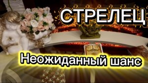 СТРЕЛЕЦ - ЧУДЕСА БЫВАЮТ с 15 по 28 февраля 2026г. Таро расклад/прогноз.