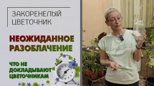 Что не докладывают цветочникам? Неожиданное разоблачение. Литраж или размер горшка, что важнее?