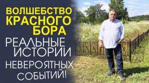 СВЕТЛОЕ ЧУДО КРАСНОГО БОРА! НАСТОЯЩИЕ ИСТОРИИ О ВЕРЕ И НАДЕЖДЕ