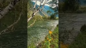 Илсур Тайсин - Эй, Хоҙайым, һаулыҡ һорайым!