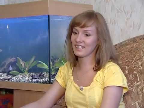 Европейская короткошерстная. Кельтская кошка.