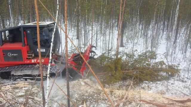 Мульчер AHWI RT 400.Планомерно увеличиваем площадь от леса под строительство.