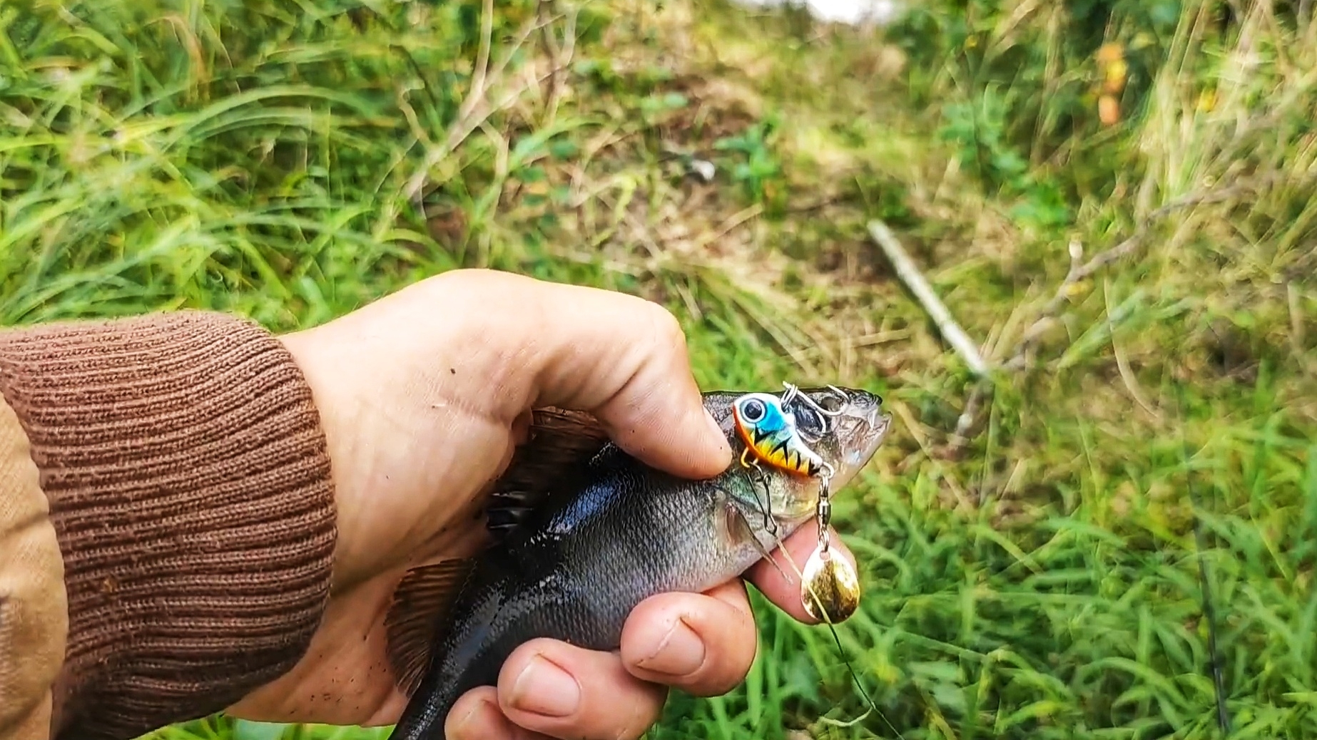 Щука и окунь на тейл-спиннер смотреть онлайн