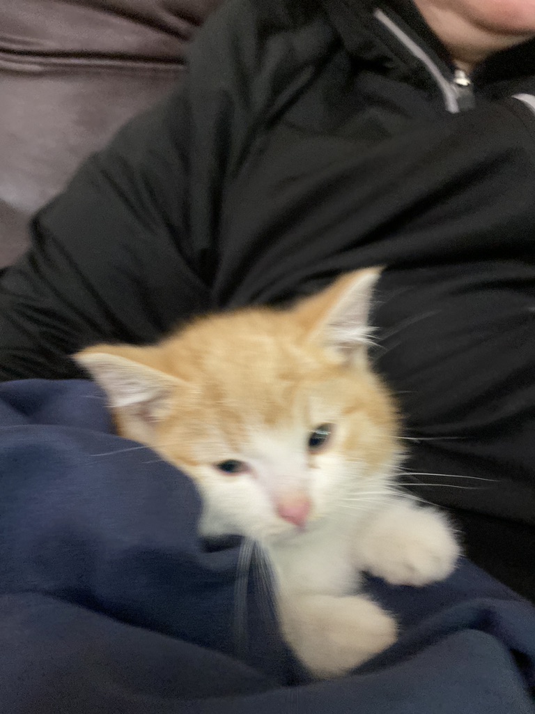 Развлечения смотреть онлайн