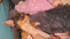 Доброго всем вечера и самой спокойной ночи.