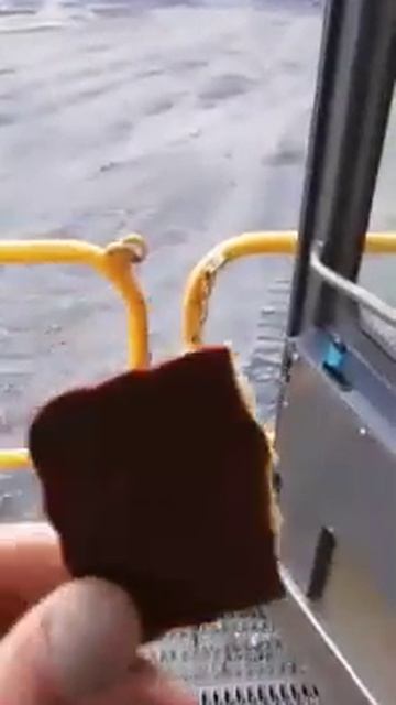 Угостил печеньками смотреть онлайн