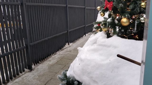 Февраль.Новогодние ёлки продолжают радовать!!А у вас тоже ещё стоят?🌲♥️ смотреть онлайн