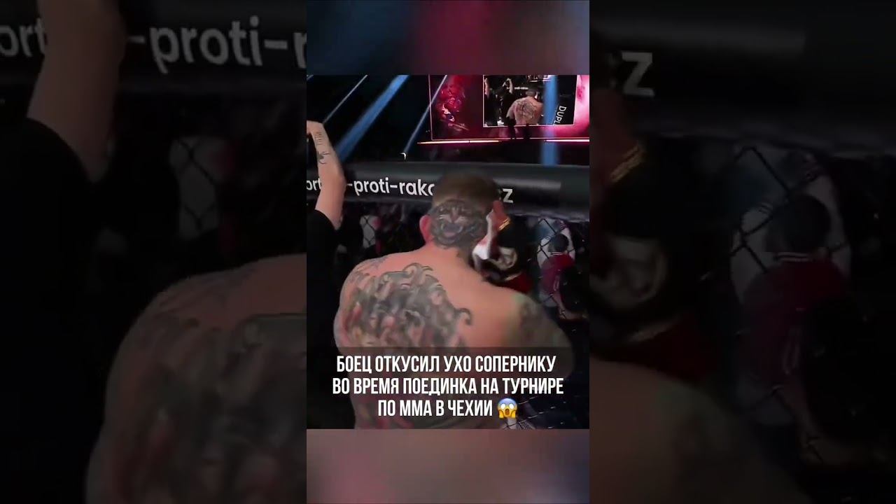 Боец Васко укусил ухо сопернику на турнире Clash MMA в Чехии смотреть онлайн